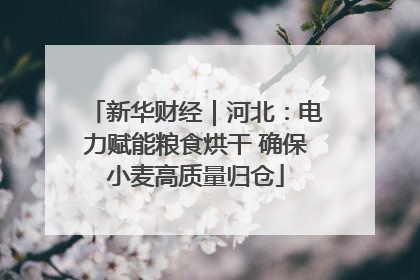 新华财经｜河北：电力赋能粮食烘干 确保小麦高质量归仓